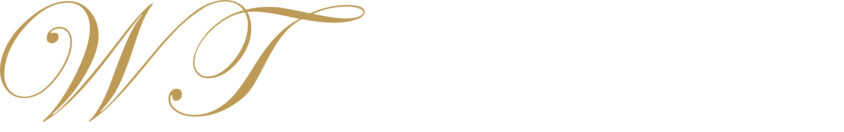 Wills & Trusts Wealth Management